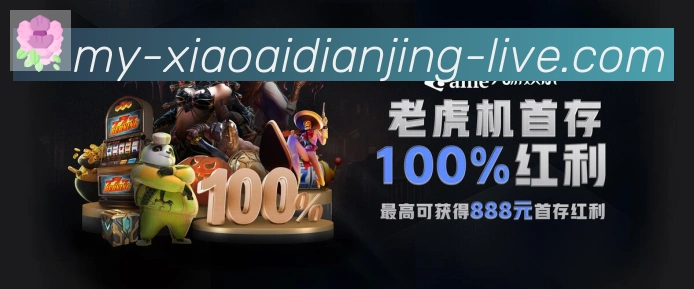 未来规划